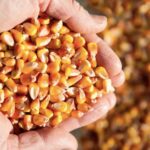 Lorem ipsum dolor sit amet, consectetur adipiscing elit, sed do eiusmod tempor incididunt ut labore et dolore magna aliqua.